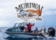 Muriwai Sportfishing Club